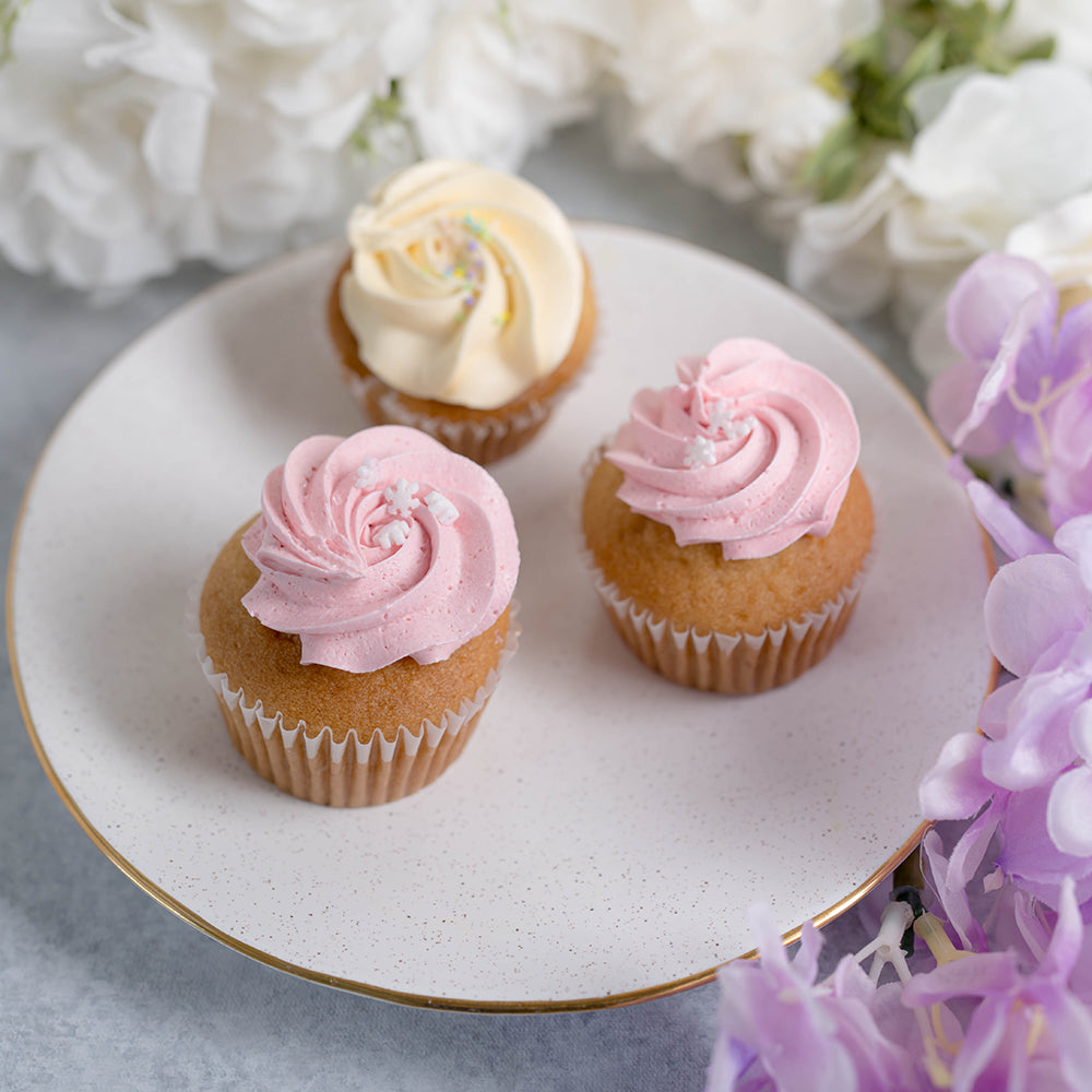 Level V Bakery Mini Cupcakes (12)